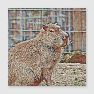 SmartMix Animal- Capybara Magnetkarte