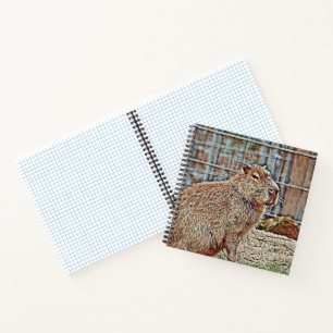 SmartMix Animal- Capybara Notizbuch