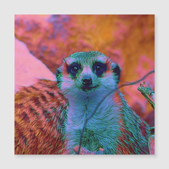 SmartMix Tier- Meerkat 5 Magnetkarte (Vorderseite)