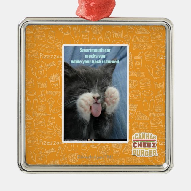 Smartmouth Katze Ornament Aus Metall (Vorne)