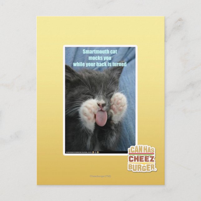 Smartmouth Katze Postkarte (Vorderseite)