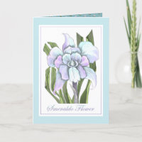Smeraldo Blume