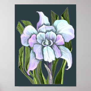 Smeraldo Blume Poster