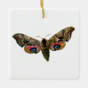 Smerinthus ocellata - Eyed Hawk-Moth - Color Image Keramikornament