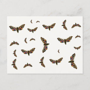Smerinthus ocellata - Eyed Hawk-Moth - Color Image Postkarte
