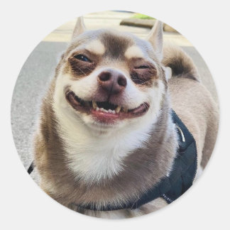 Smile Big Huey Runder Aufkleber