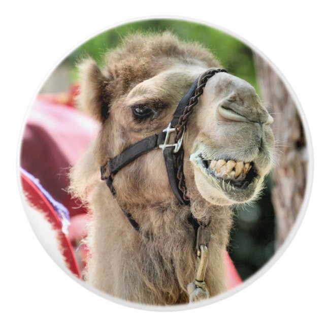 Smile Keramikknauf (Vorderseite)