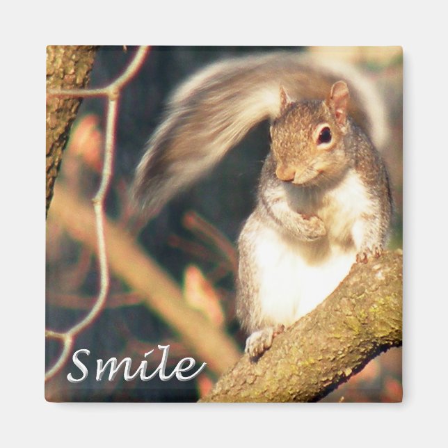 Smile Mr. Squirrel Magnet (Vorne)