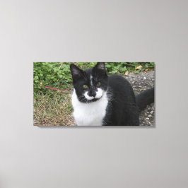 Smiler Charity  Leinwanddruck