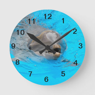 Smiling dolphin clock runde wanduhr