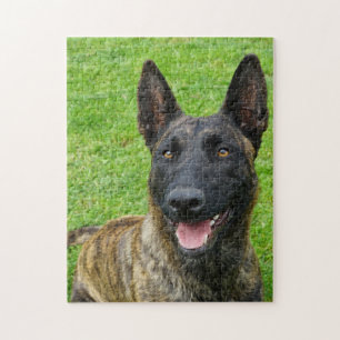 Smiling Dutch Shepherd Portrait Puzzle