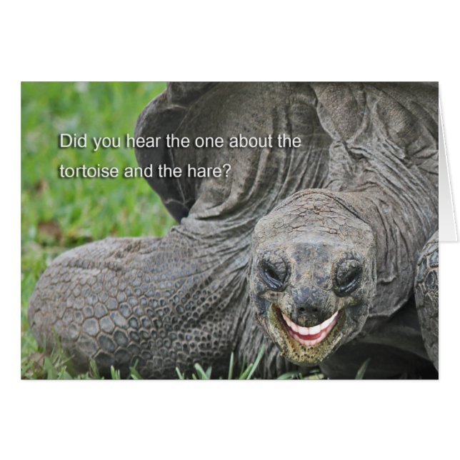 Smiling Tortoise Joke (Vorderseite (Horizontal))