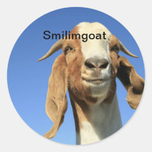 Smilingoat Runder Aufkleber