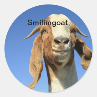 Smilingoat Runder Aufkleber