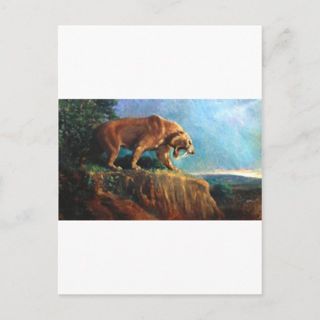 Smilodon-1 Postkarte (Vorderseite)