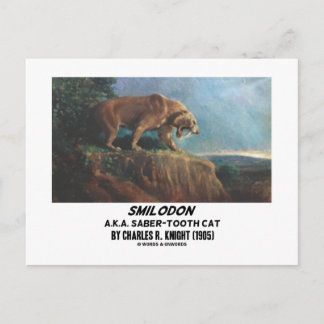 Smilodon (alias Säbeltooth Cat) Ritter (1905) Postkarte