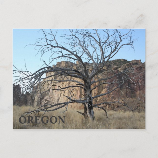 Smith Rock Rocks Postkarte (Vorderseite)