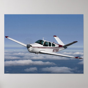 Smitty-V-Schwanz Poster