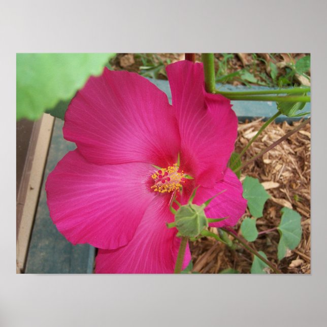 Smitty's Blume One Poster (Vorne)