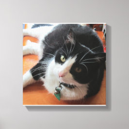 Smokey Die Katze Canvas drucken Leinwanddruck