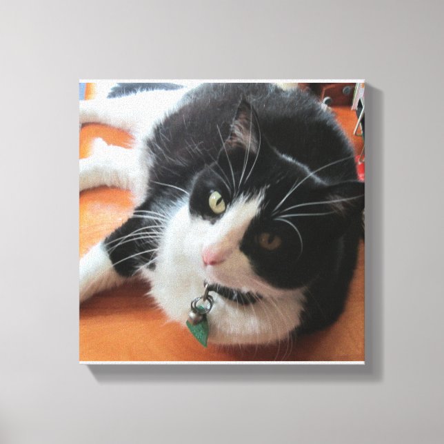 Smokey Die Katze Canvas drucken Leinwanddruck (Vorderseite)