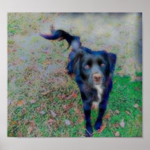 Smokey glüht in brillanten Fasern in Farbe