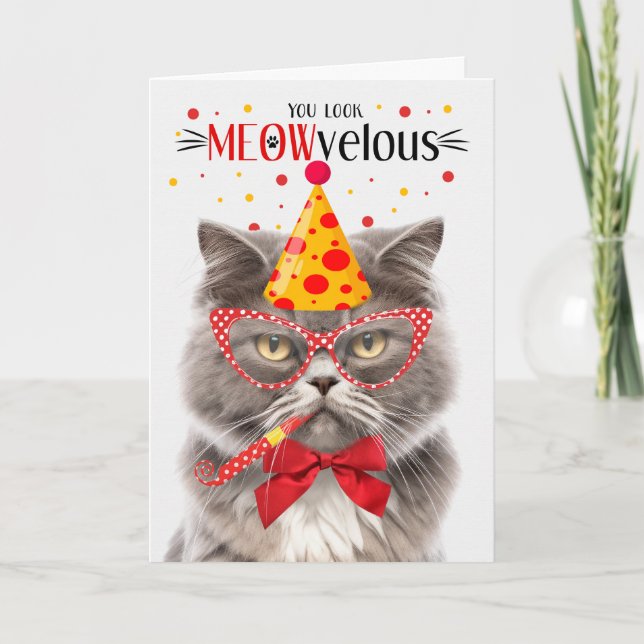 Smokey Gray Persian Cat MEOWvelous Birthday Karte (Vorderseite)