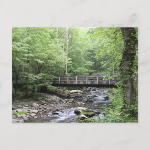 Smokey Mountain Creek Postkarte