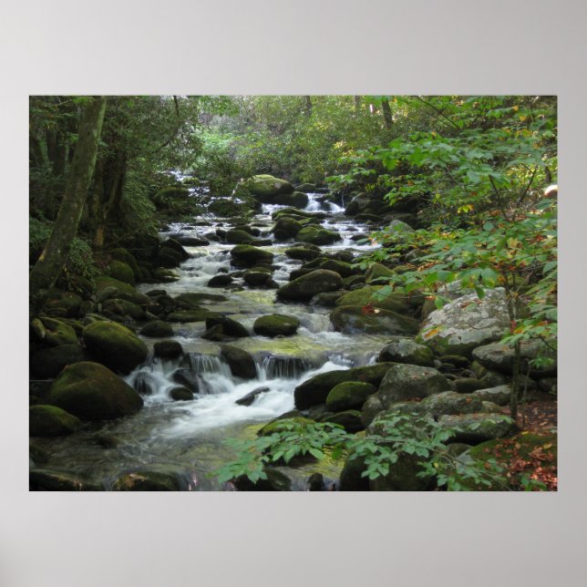 Smokey Mountains Poster (Vorne)