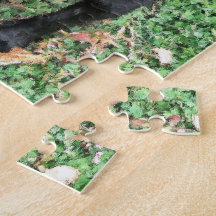 Smokey-Posen für Camera-Puzzle