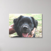 Smokey-Posen für die Kamera