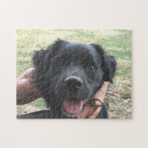 Smokey-Posen für Kamera