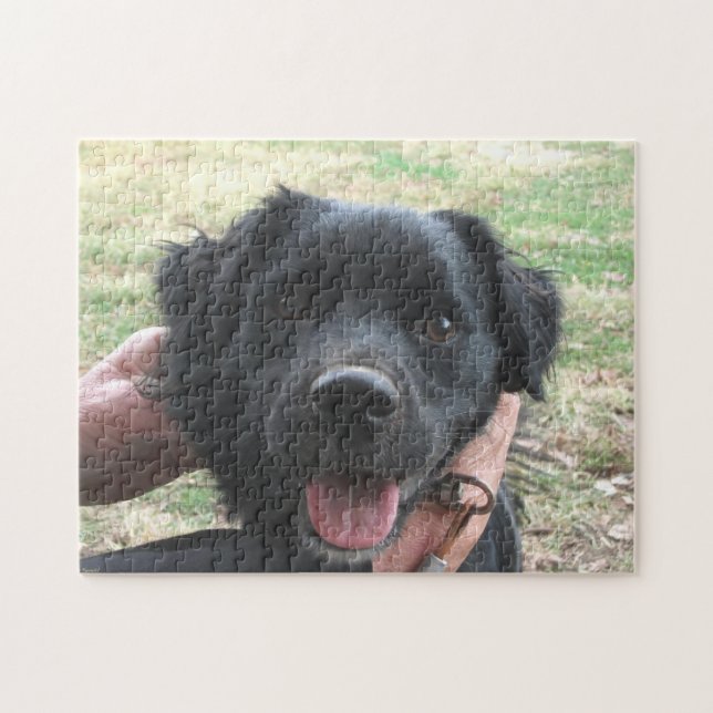 Smokey-Posen für Kamera Puzzle (Horizontal)