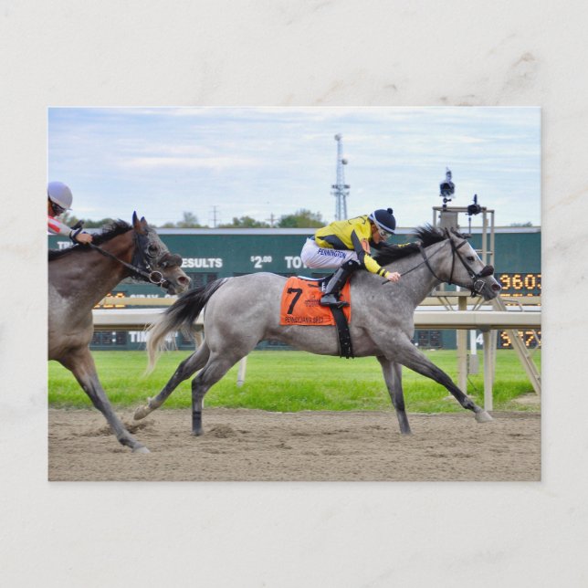 Smokin Nitro Postkarte (Vorderseite)