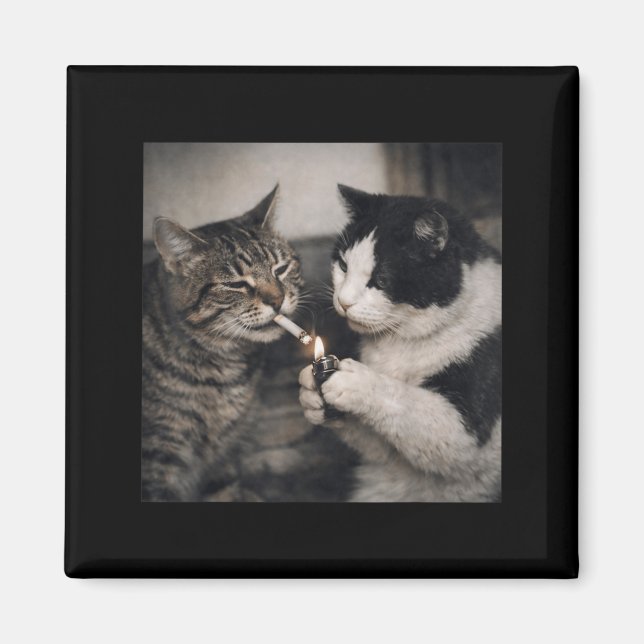 Smoking Cat Cigarette Kitten Funny Meme Stupid Magnet (Vorne)