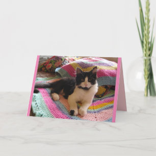 Smoking-Cat-Cute-Schlafend-auf-gehäkeltem-Teppich- Karte