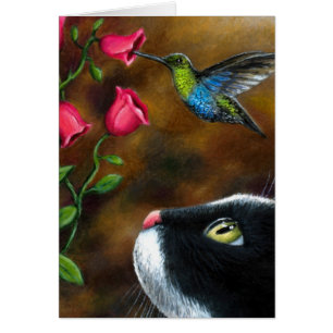 Smoking der Katzen-571 mit Kolibri