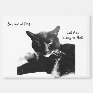 Smoking-Katze mit zweideutigem Lächeln  Magnet