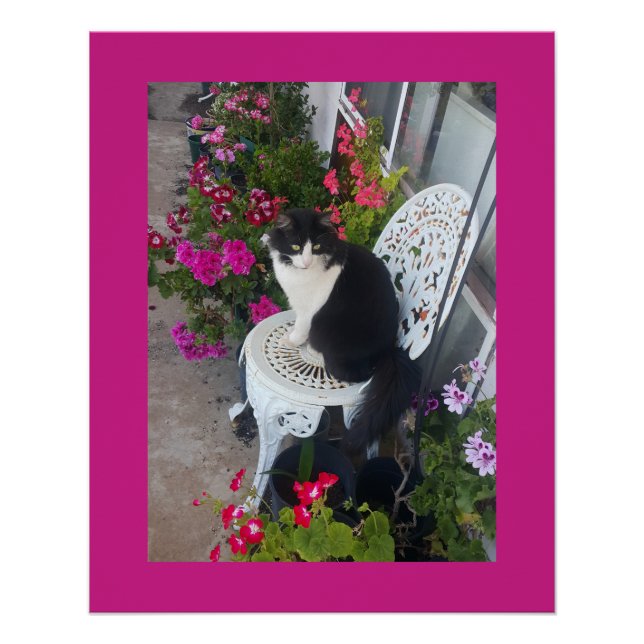 Smokingjacke Katze Marone Dunkles Rosa Katzen und  Poster (Vorderseite)