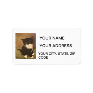 Smokings-Kätzchen Adressaufkleber