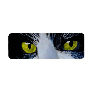 Smokings-Katze