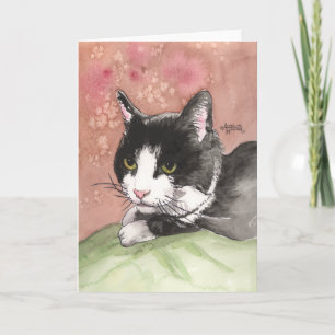 Smokings-Katze Ankündigung