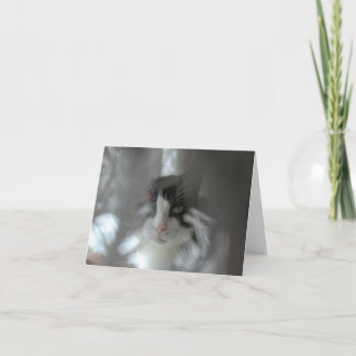 Smokings-Katze durch Niederlassungen Feiertagskarte