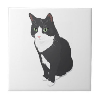 Smokings-Katze Fliese