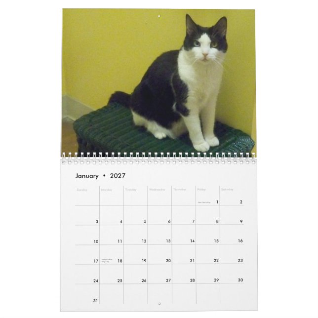 Smokings-Katze "Molly " Kalender (Jan 2027)
