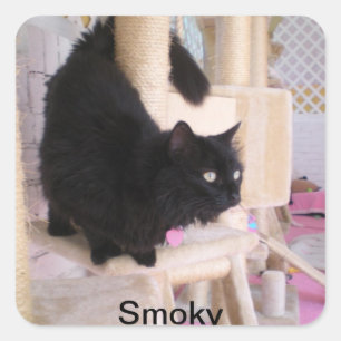 Smoksticker Quadratischer Aufkleber