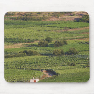 Smokvica-Weinberge auf Korcula von der Toreta Mousepad