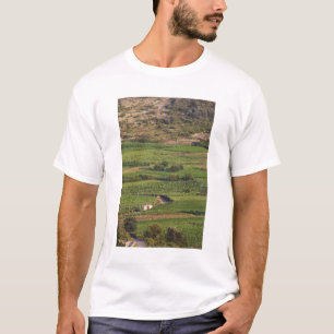 Smokvica-Weinberge auf Korcula von der Toreta T-Shirt