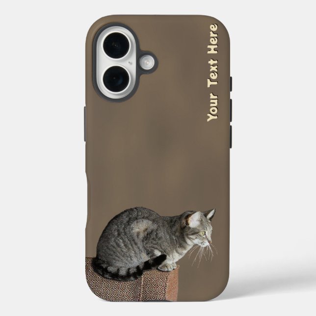 Smoky Gray Tabby Cat Case-Mate iPhone Hülle (Rückseite)