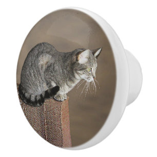 Smoky Gray Tabby Cat Keramikknauf